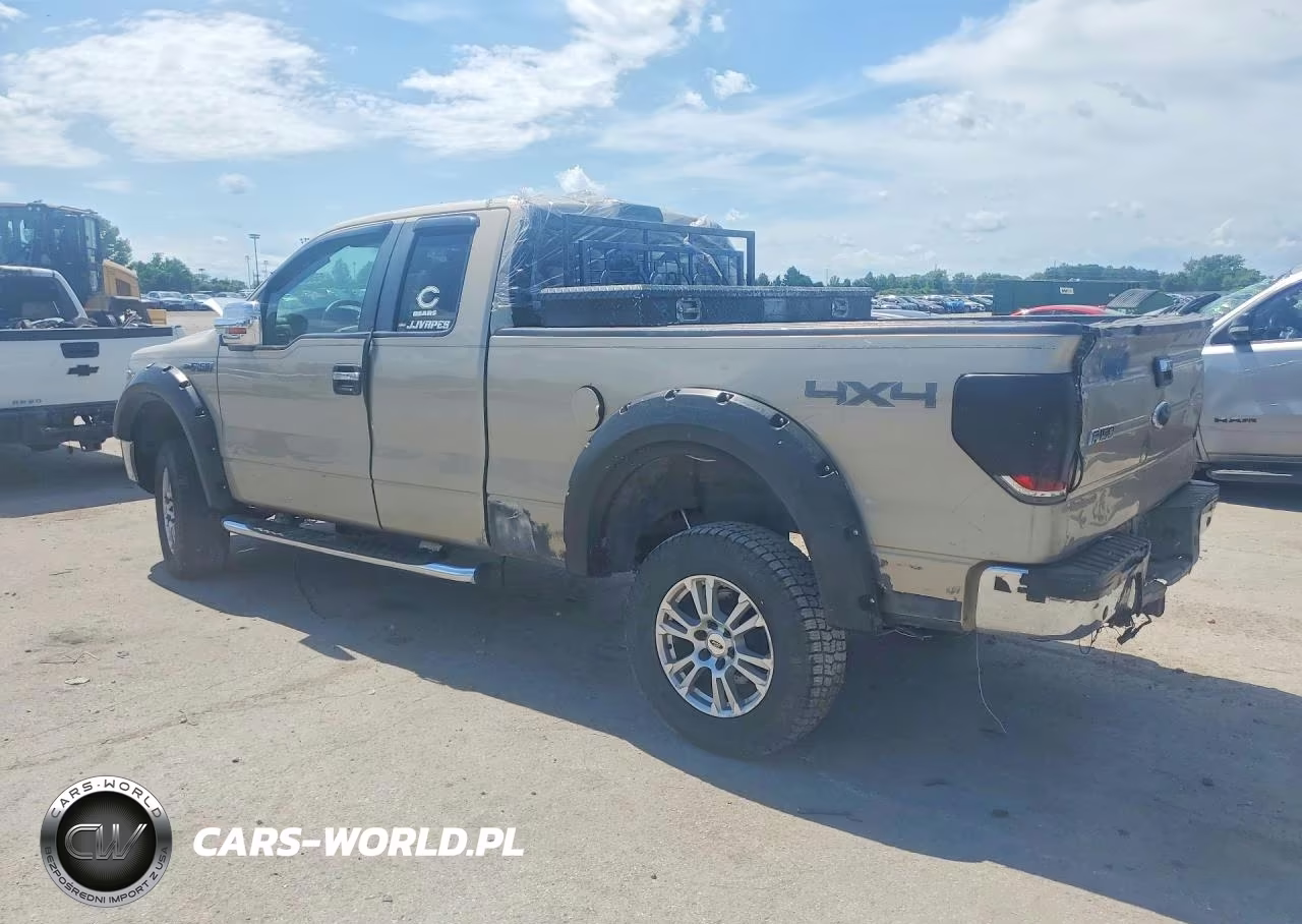 2009 Ford F150 Super Cab VIN:1FTPX14V19FA98780 - 2