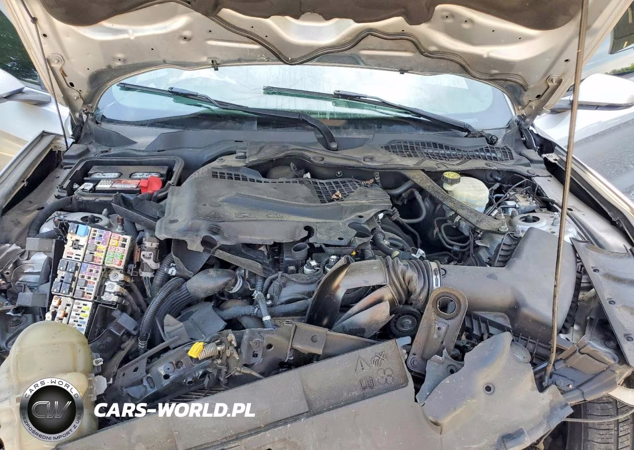 2020 Ford Mustang VIN:1FATP8UH4L5179924 - 11