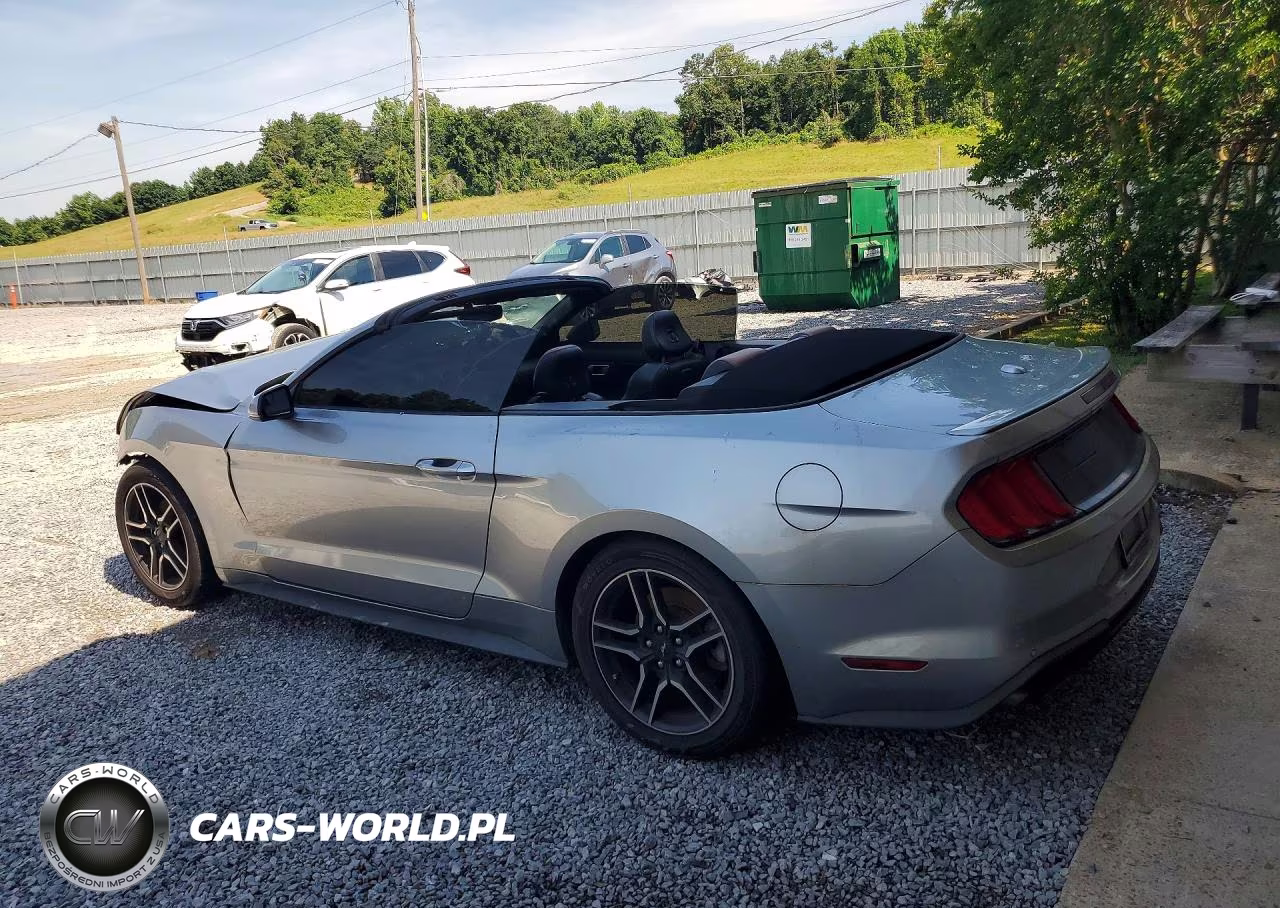 2020 Ford Mustang VIN:1FATP8UH4L5179924 - 2