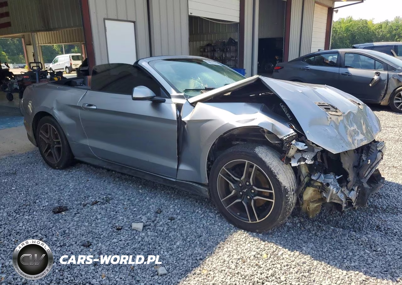 2020 Ford Mustang VIN:1FATP8UH4L5179924 - 4
