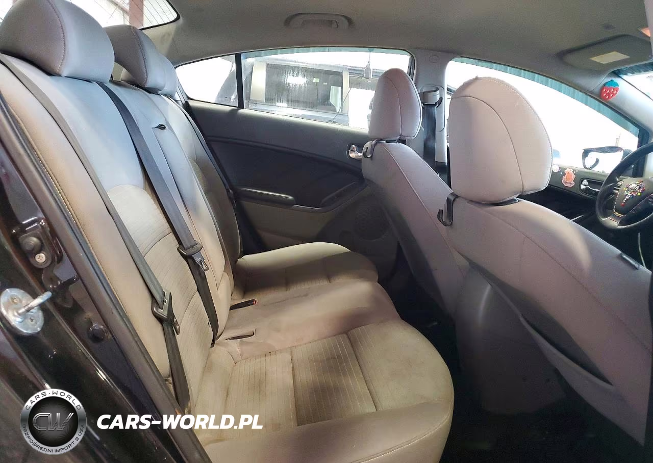 2015 Kia Forte Lx VIN:KNAFX4A69F5280283 - 10