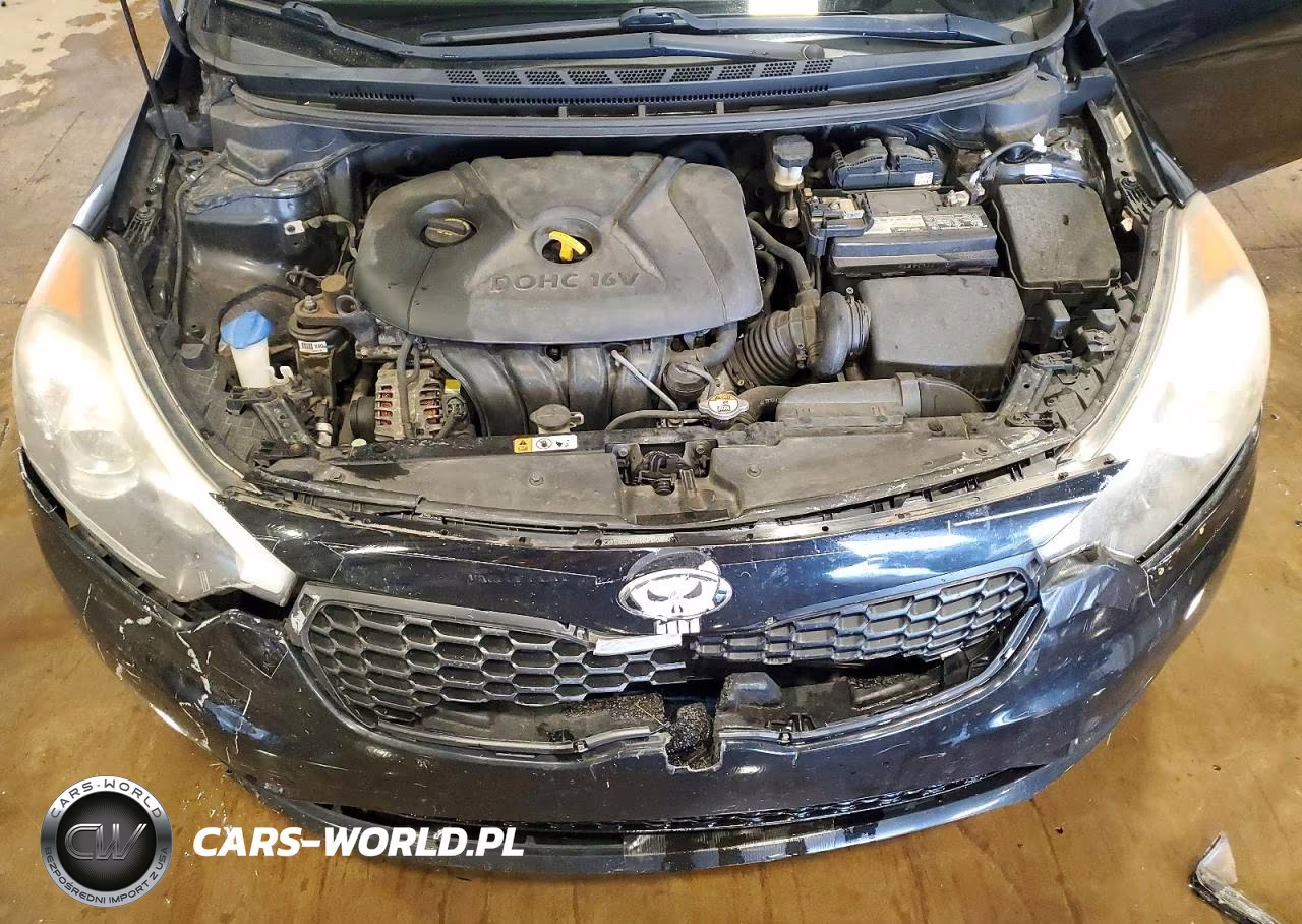 2015 Kia Forte Lx VIN:KNAFX4A69F5280283 - 11