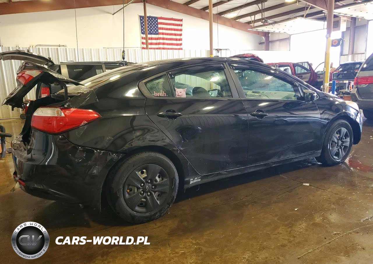 2015 Kia Forte Lx VIN:KNAFX4A69F5280283 - 3