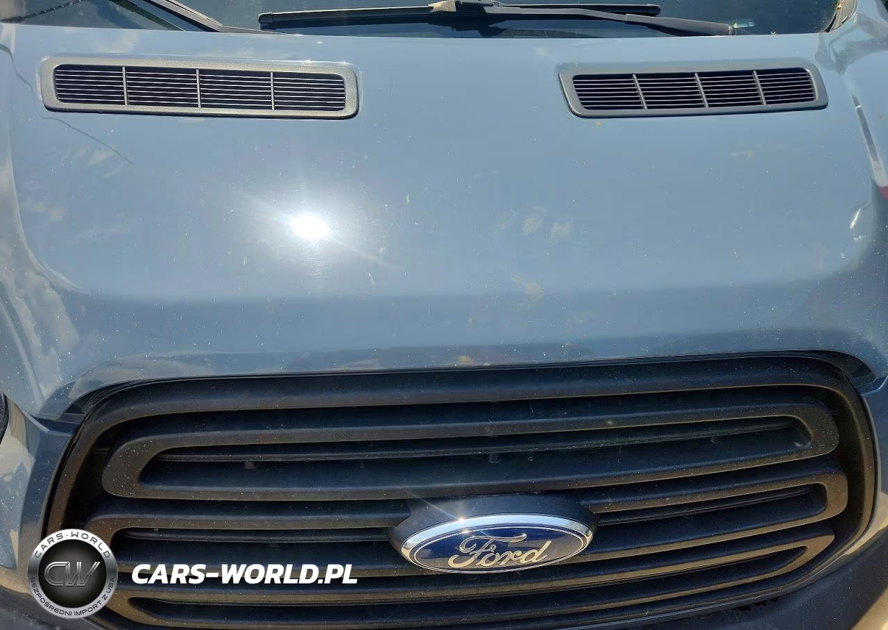 2019 Ford Transit 250 Delivery Van VIN:1FTYR3XM5KKA97173 - 12