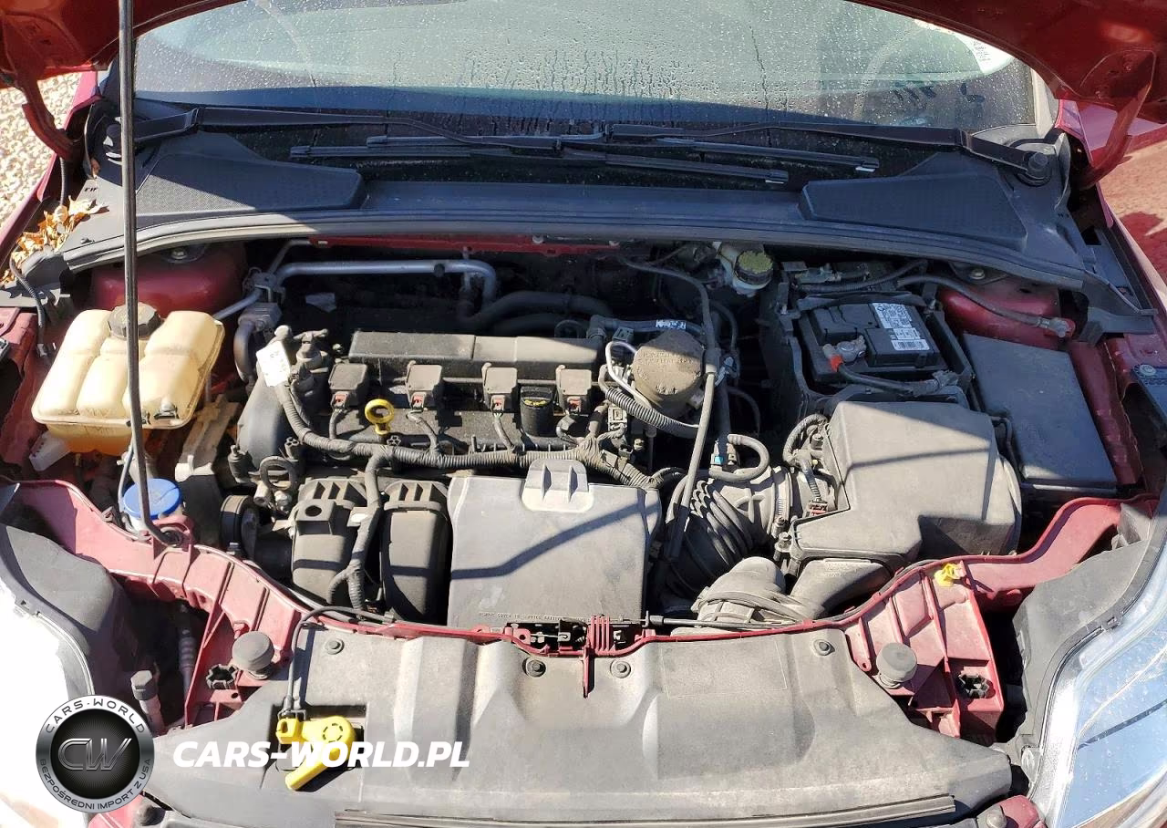 2014 Ford Focus Se VIN:1FADP3F25EL417973 - 11