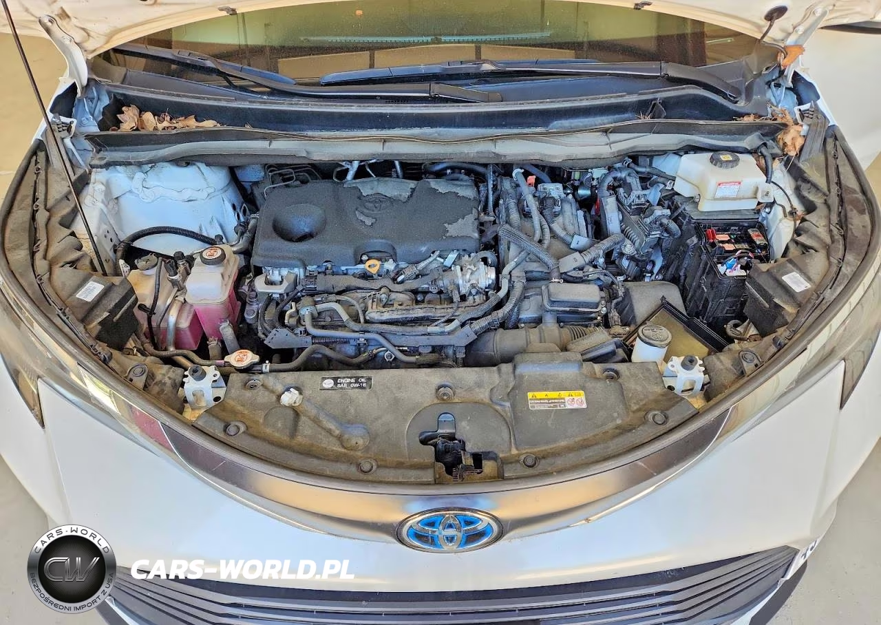 2024 Toyota Sienna Xle VIN:5TDJRKEC2RS183520 - 12