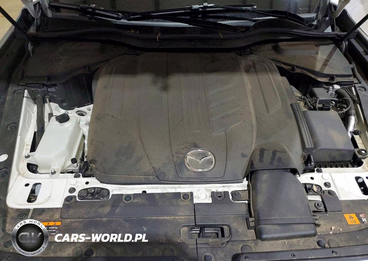 2024 Mazda Cx-90 Preferred VIN:JM3KKBHDXR1171200 - 12