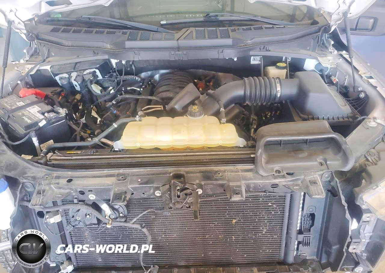 2021 Ford F150 Supercrew VIN:1FTFW1E54MFB92612 - 11