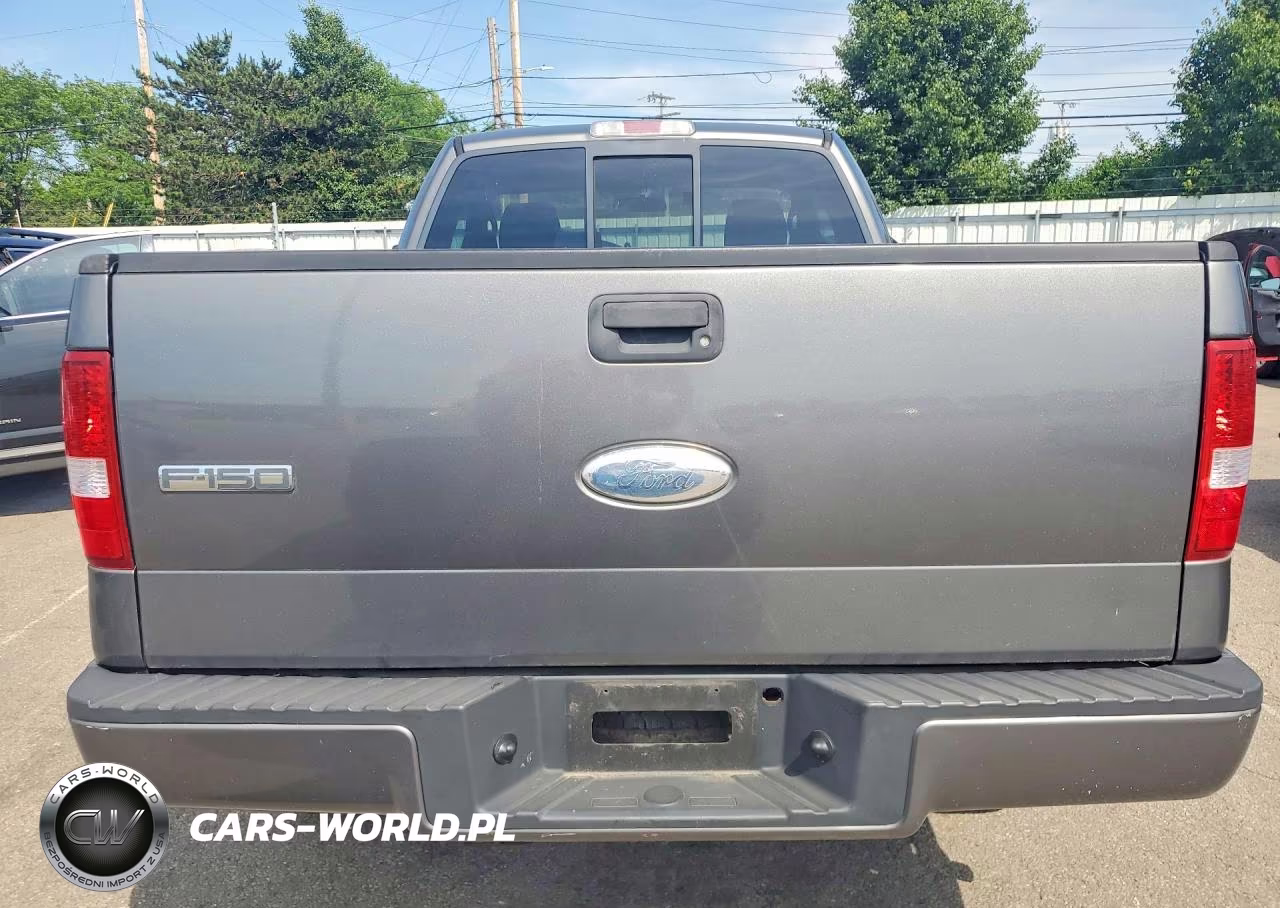 2006 Ford F150 VIN:1FTRF14W56NA88310 - 6