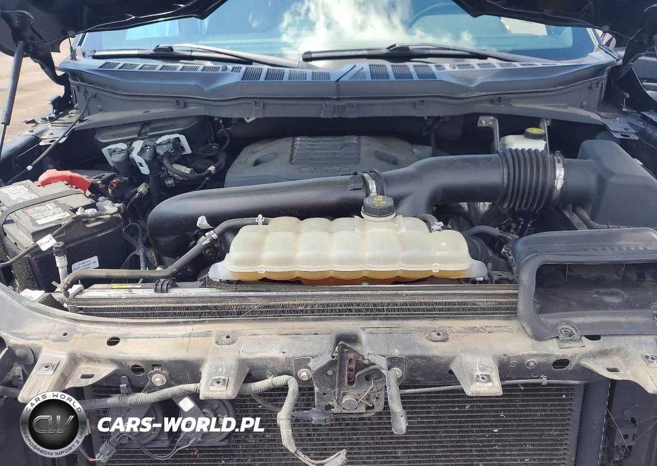 2021 Ford F150 Supercrew VIN:1FTFW1E84MFA23958 - 11