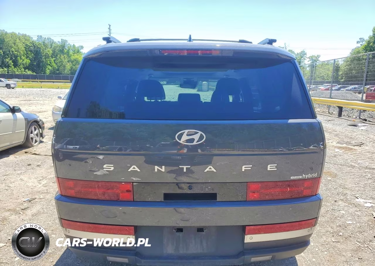 2025 Hyundai Santa Fe Limited VIN:5NMP3DG17SH056385 - 6