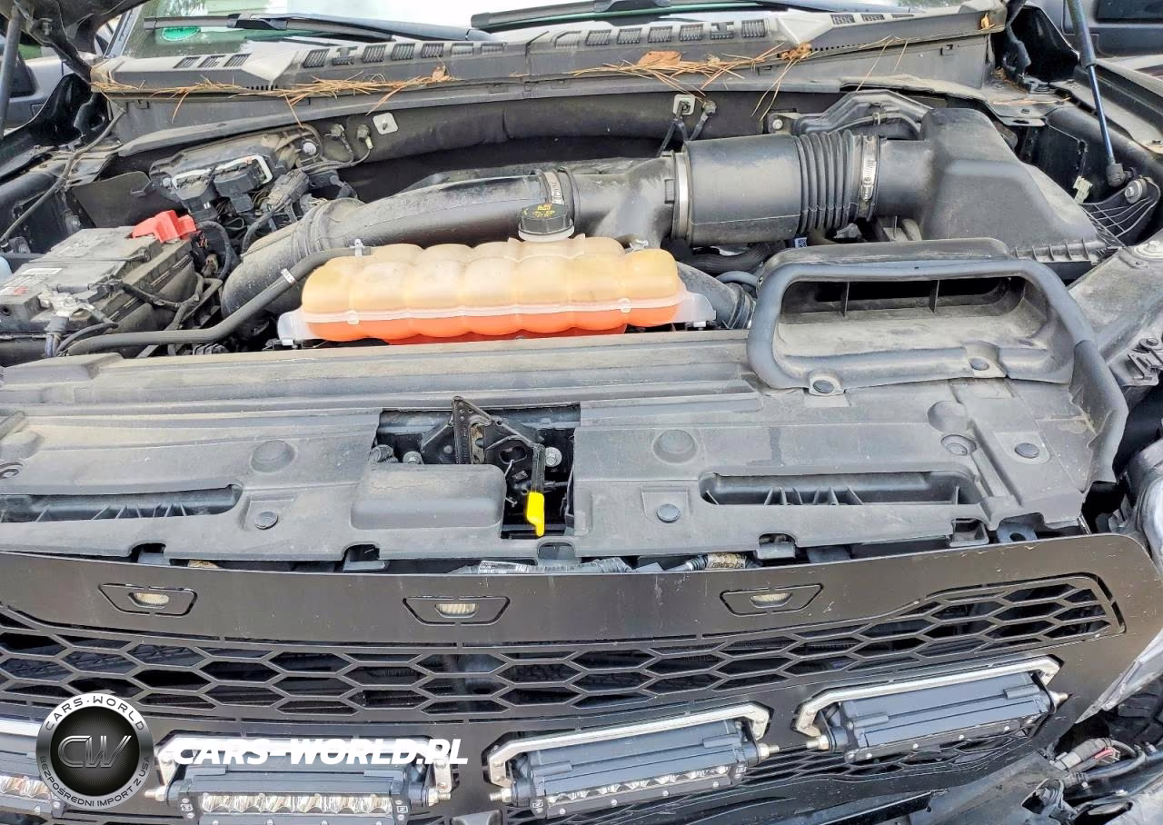2017 Ford F150 Raptor VIN:1FTFW1RG9HFB61521 - 11
