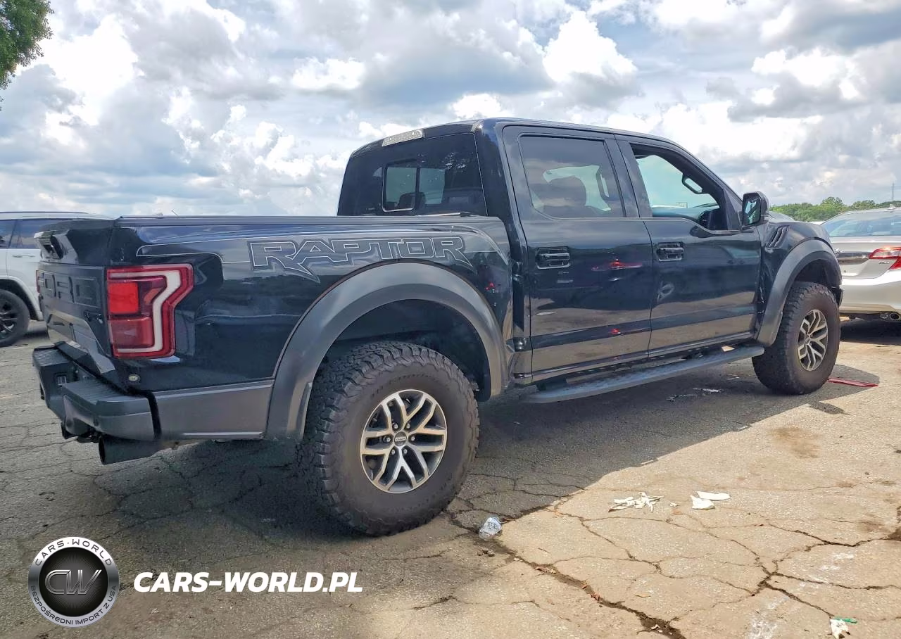 2017 Ford F150 Raptor VIN:1FTFW1RG9HFB61521 - 3