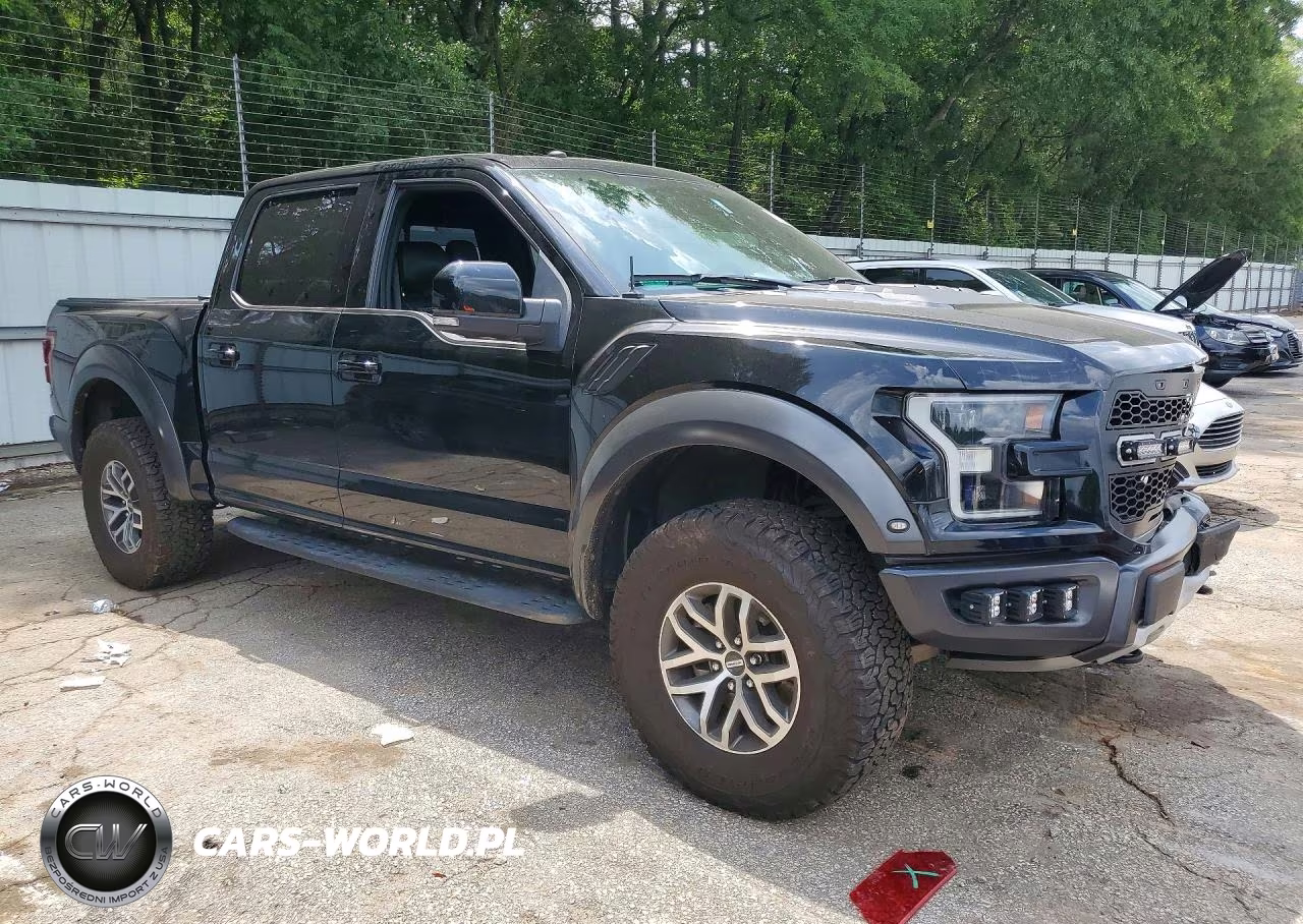 2017 Ford F150 Raptor VIN:1FTFW1RG9HFB61521 - 4