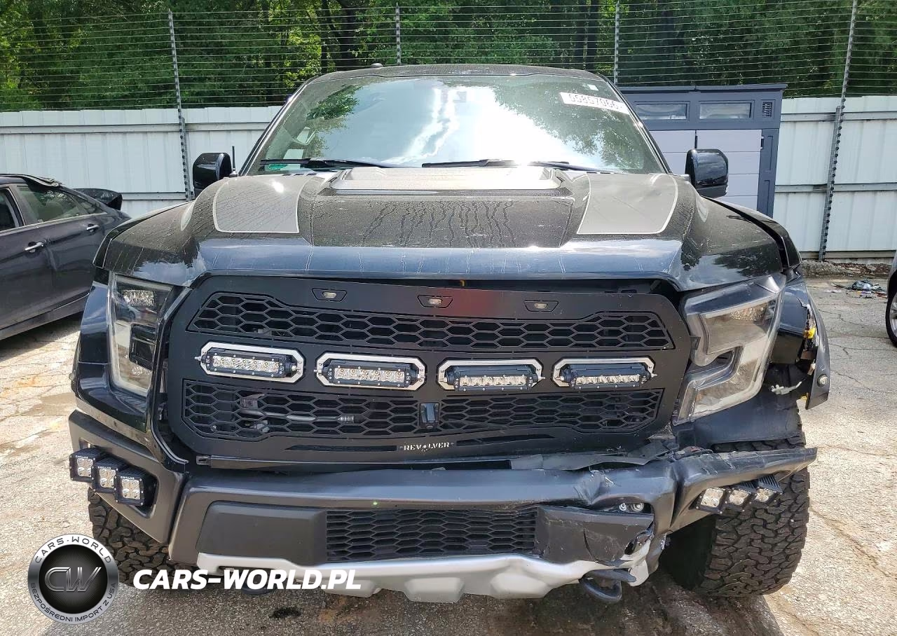 2017 Ford F150 Raptor VIN:1FTFW1RG9HFB61521 - 5