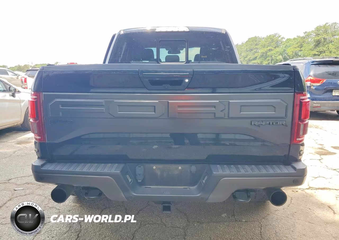 2017 Ford F150 Raptor VIN:1FTFW1RG9HFB61521 - 6