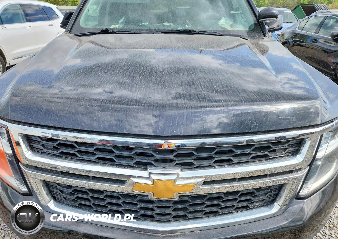 2019 Chevrolet Tahoe Police VIN:1GNSKDEC1KR323864 - 11