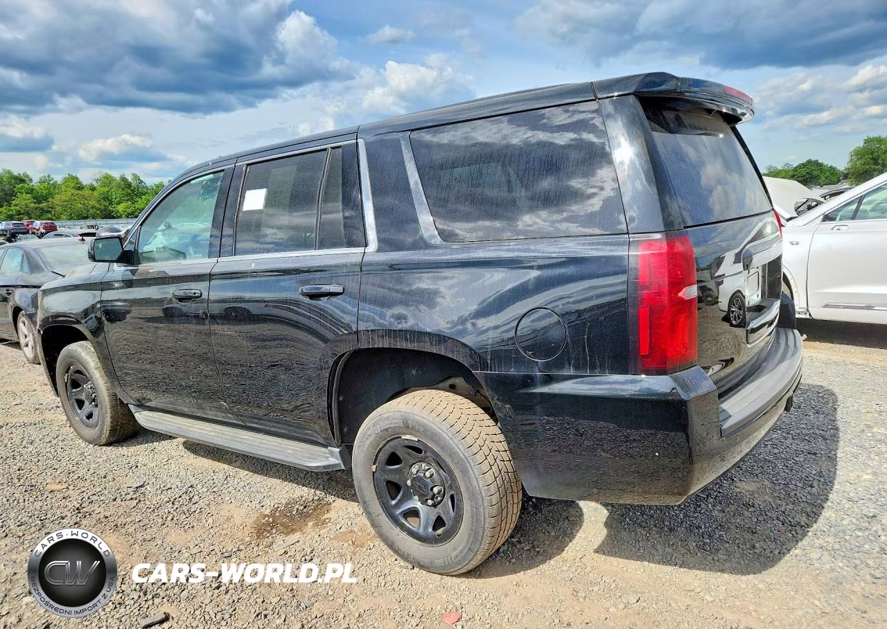 2019 Chevrolet Tahoe Police VIN:1GNSKDEC1KR323864 - 2