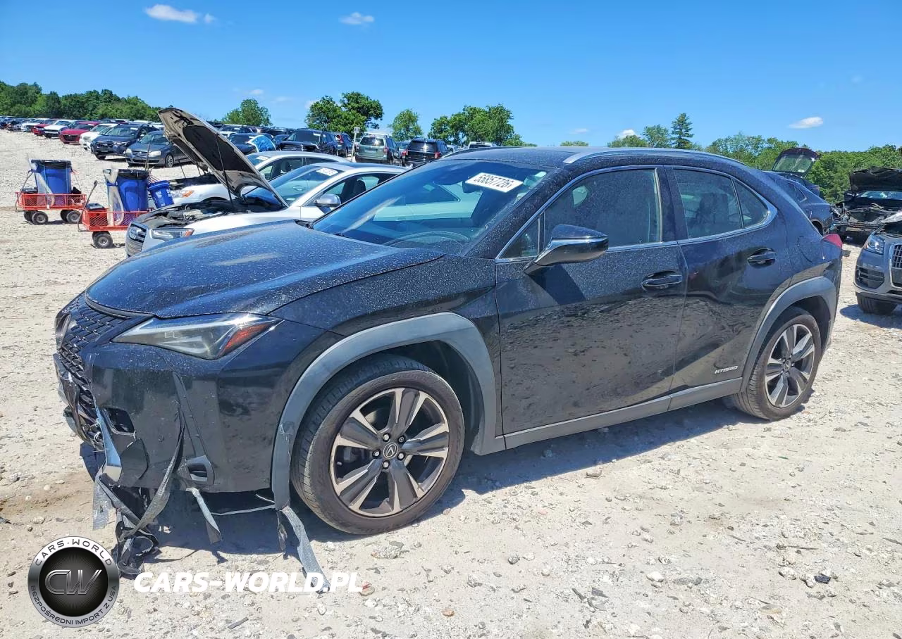 2020 Lexus Ux 250H
