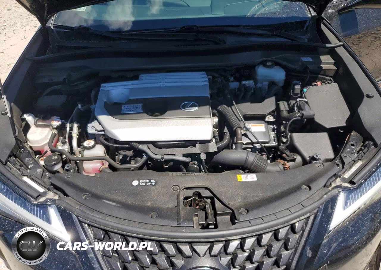2020 Lexus Ux 250H VIN:JTHP9JBH8L2035874 - 12