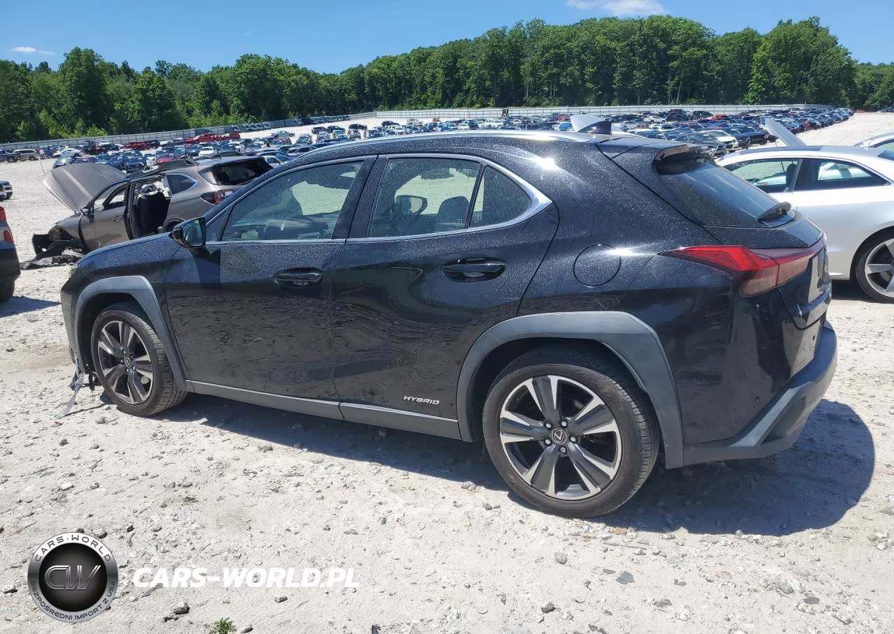 2020 Lexus Ux 250H VIN:JTHP9JBH8L2035874 - 2