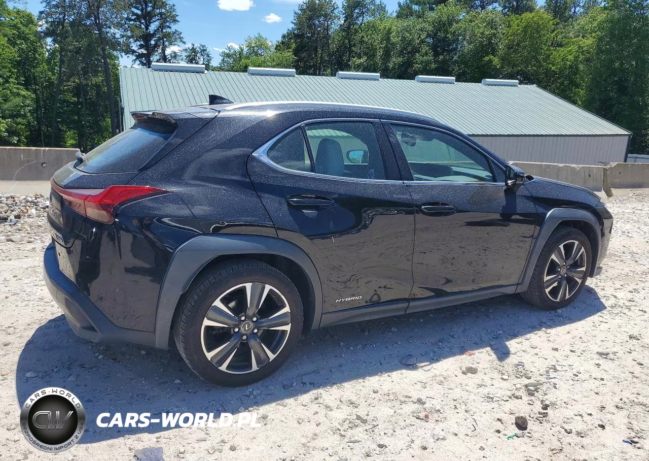 2020 Lexus Ux 250H VIN:JTHP9JBH8L2035874 - 3