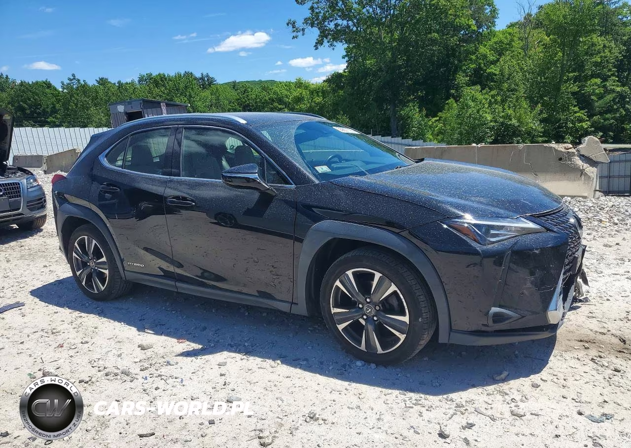 2020 Lexus Ux 250H VIN:JTHP9JBH8L2035874 - 4