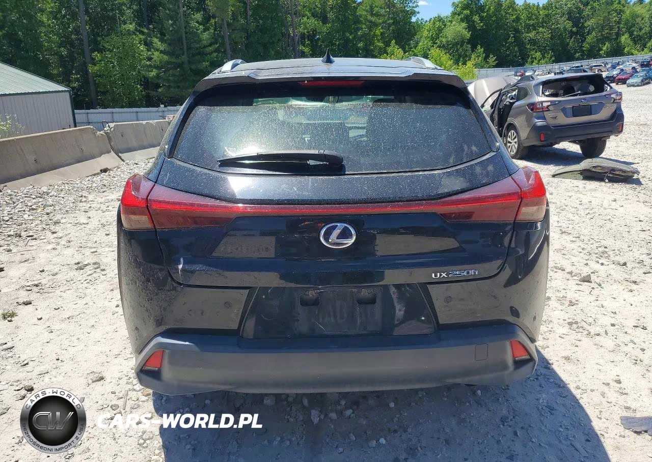 2020 Lexus Ux 250H VIN:JTHP9JBH8L2035874 - 6