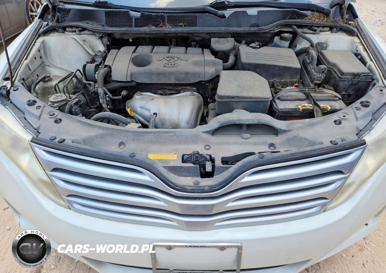 2010 Toyota Venza Fwd 4Cyl VIN:4T3ZA3BB6AU026877 - 12
