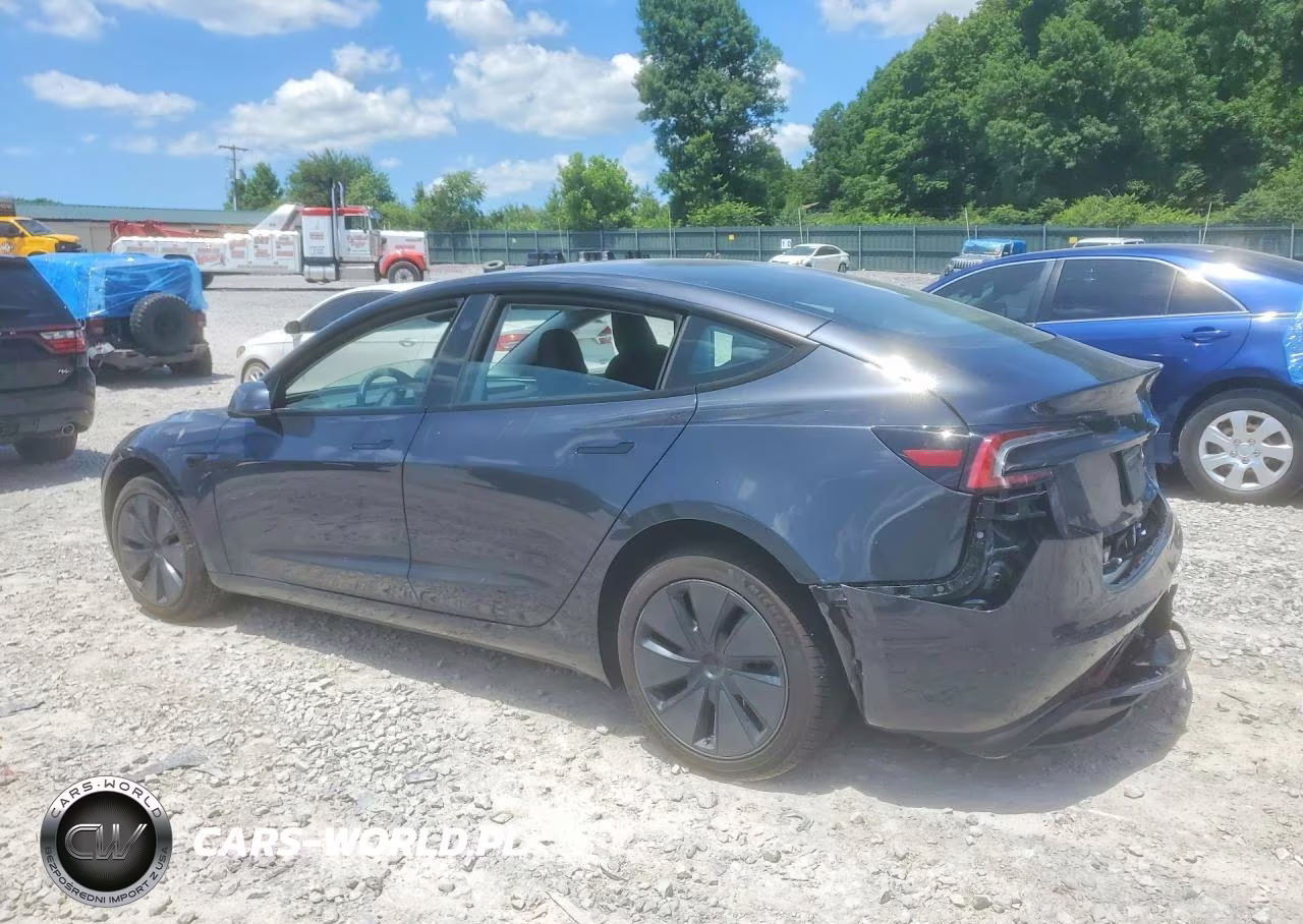 2025 Tesla Model 3 VIN:5YJ3E1EA8SF965053 - 2