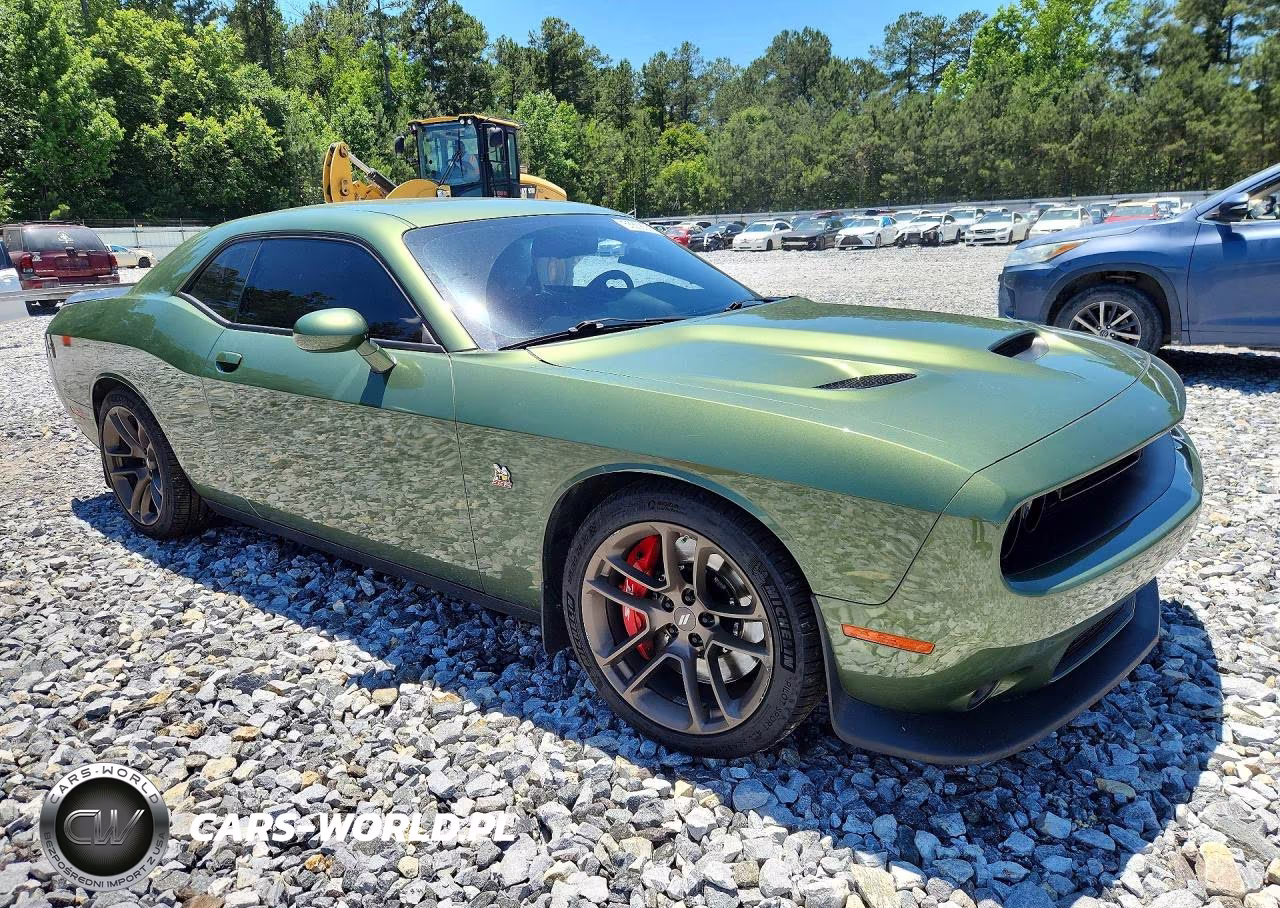 2023 Dodge Challenger R VIN:2C3CDZFJ6PH505430 - 4
