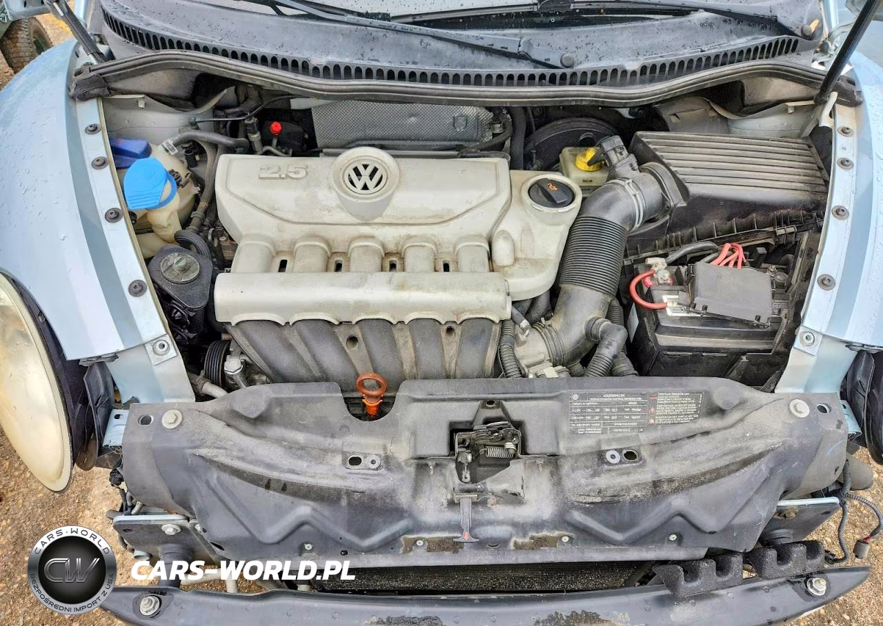 2010 Volkswagen New Beetle VIN:3VWPG3AG0AM016542 - 11