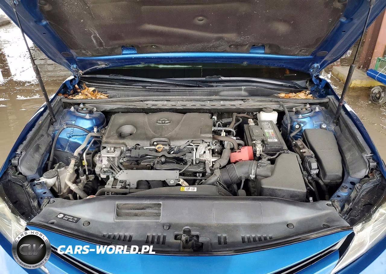 2019 Toyota Camry VIN:4T1B11HKXKU171203 - 12