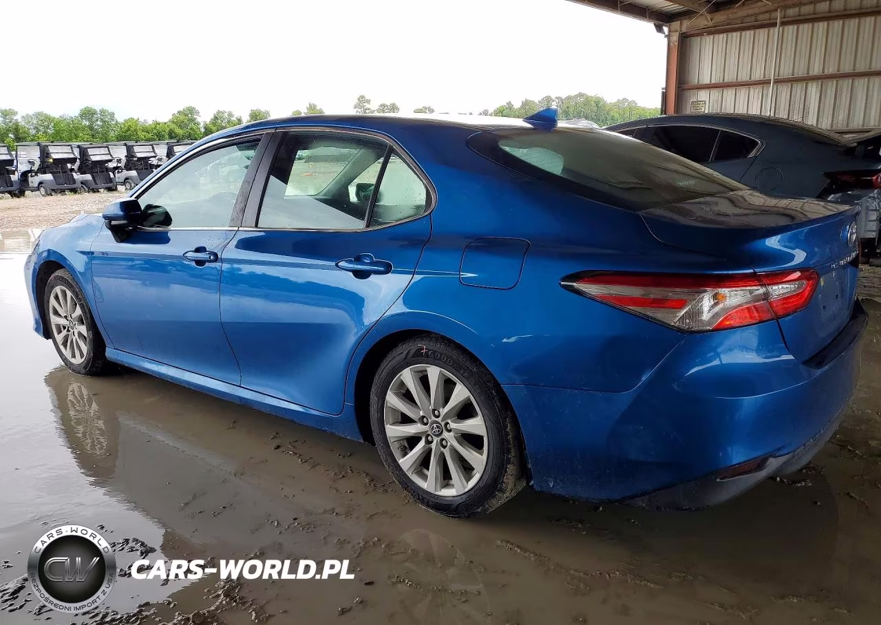 2019 Toyota Camry VIN:4T1B11HKXKU171203 - 2