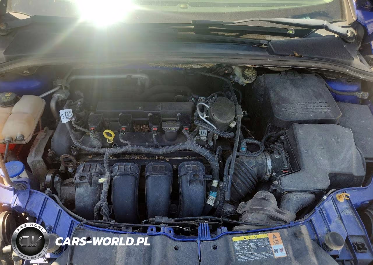 2014 Ford Focus Titanium VIN:1FADP3N28EL253300 - 11