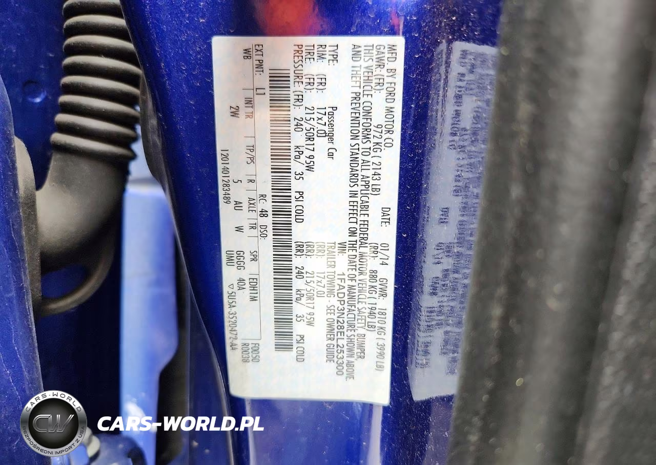 2014 Ford Focus Titanium VIN:1FADP3N28EL253300 - 12