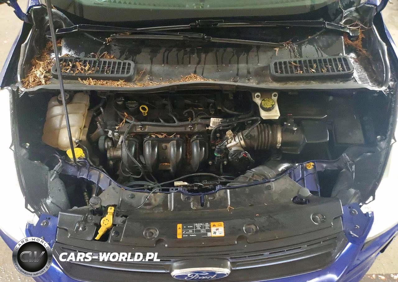 2013 Ford Escape S VIN:1FMCU0F76DUD31942 - 12