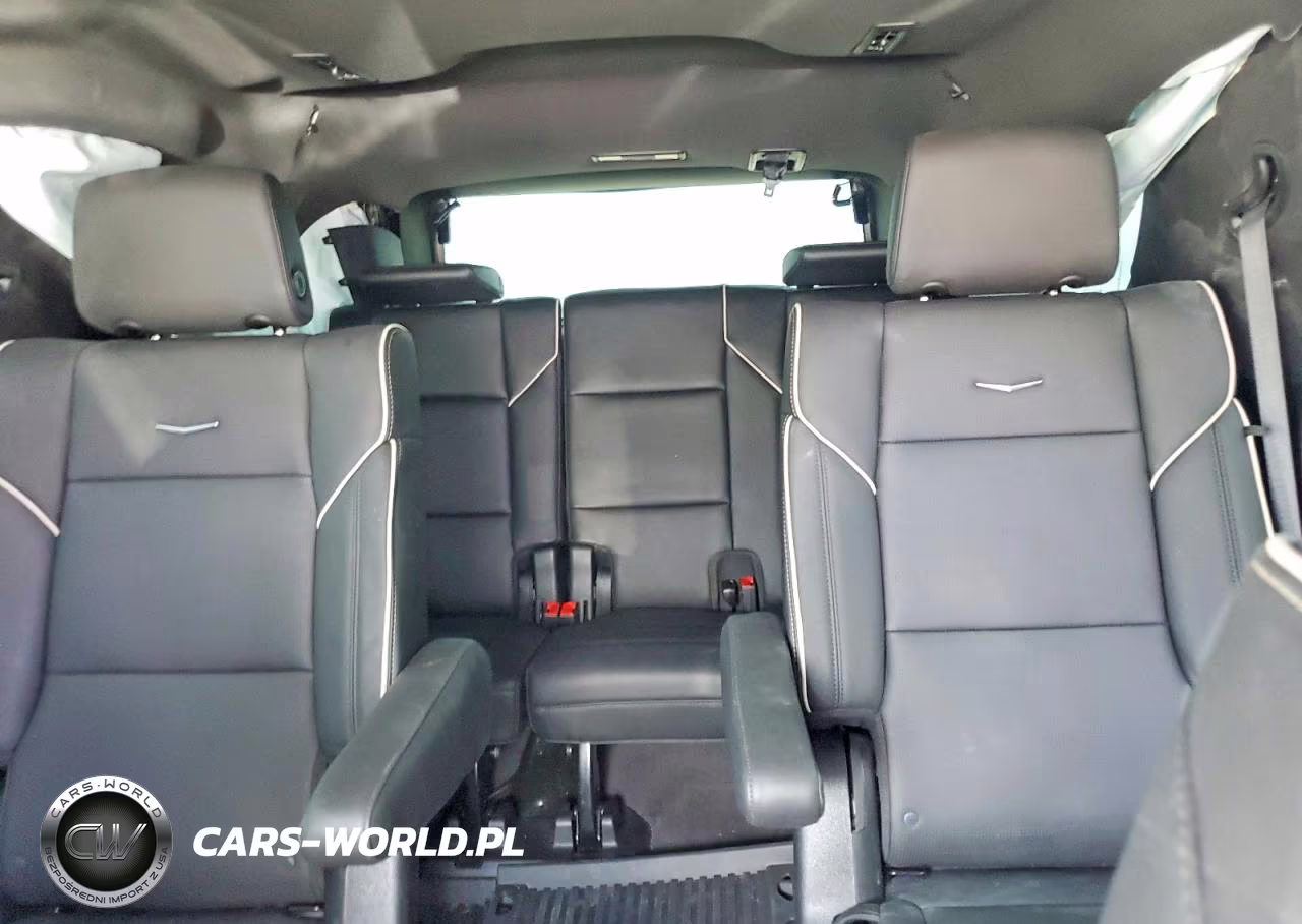 2023 Cadillac Escalade Sport VIN:1GYS4FKL6PR525278 - 10