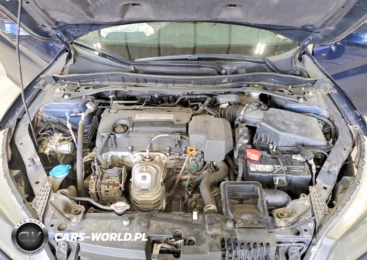 2013 Honda Accord Exl VIN:1HGCR2F87DA247593 - 11