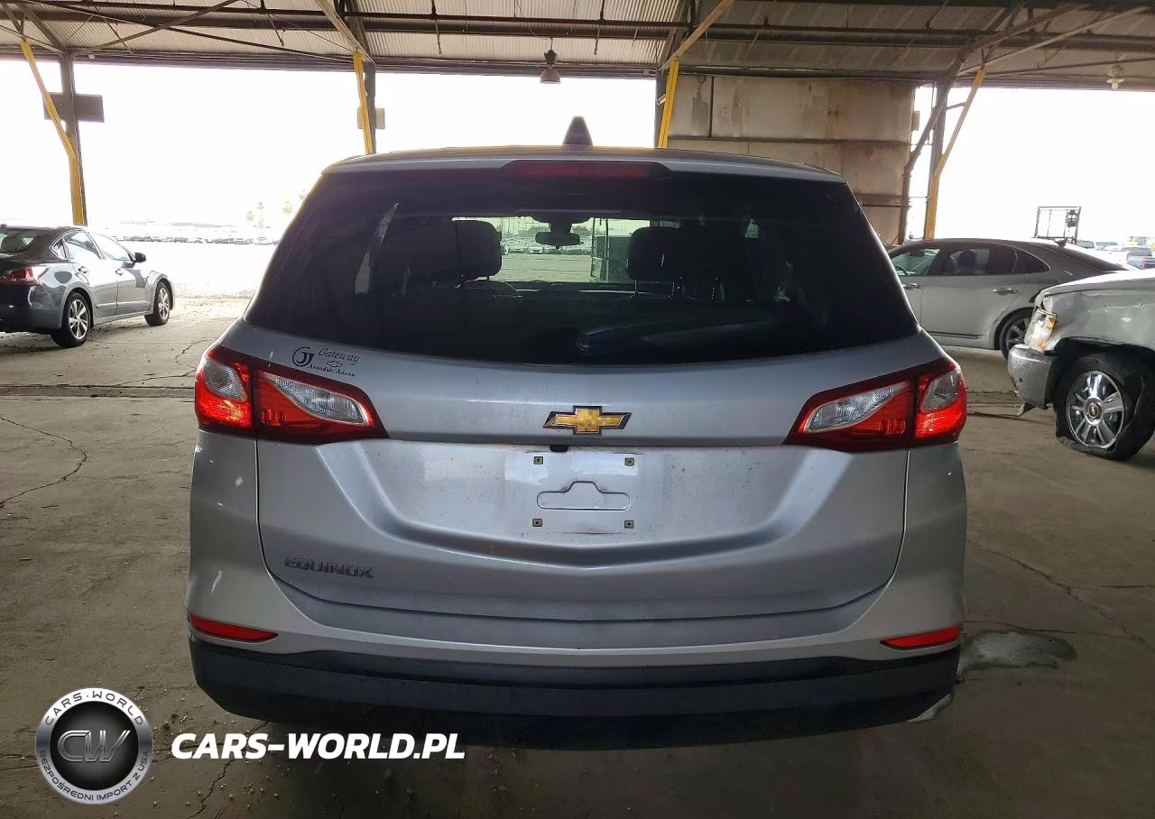 2020 Chevrolet Equinox Ls VIN:2GNAXHEV3L6224286 - 6