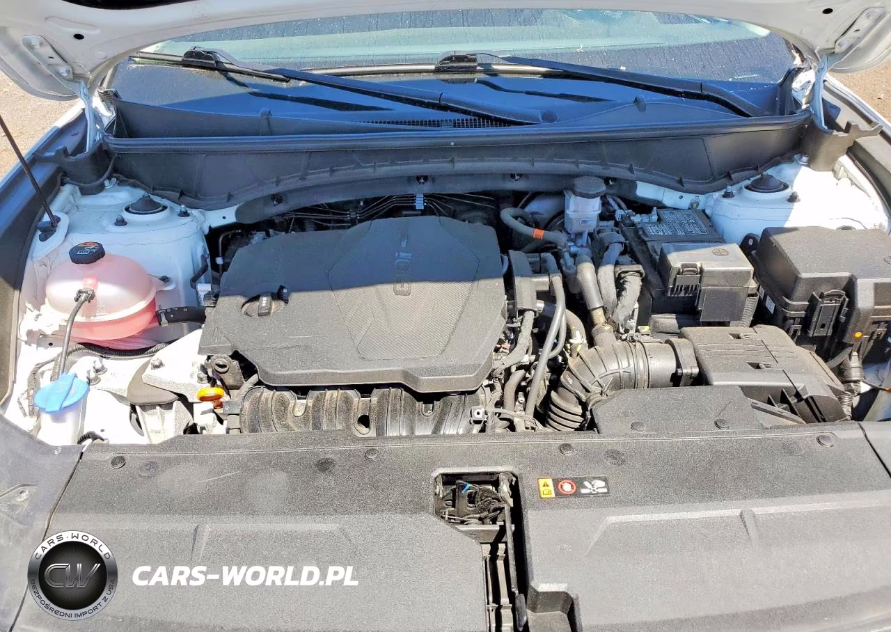 2024 Hyundai Tucson Sel VIN:5NMJBCDE4RH297793 - 12