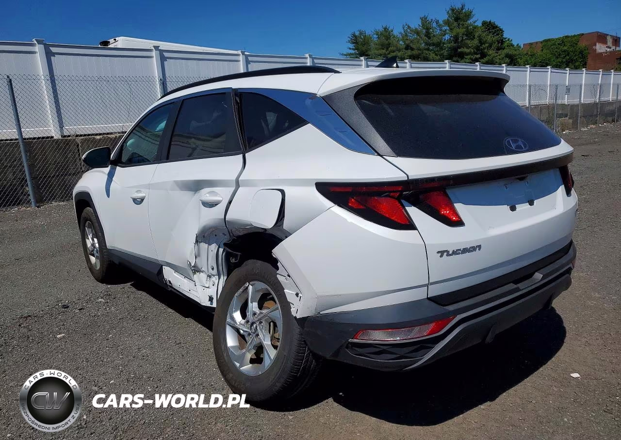 2024 Hyundai Tucson Sel VIN:5NMJBCDE4RH297793 - 2