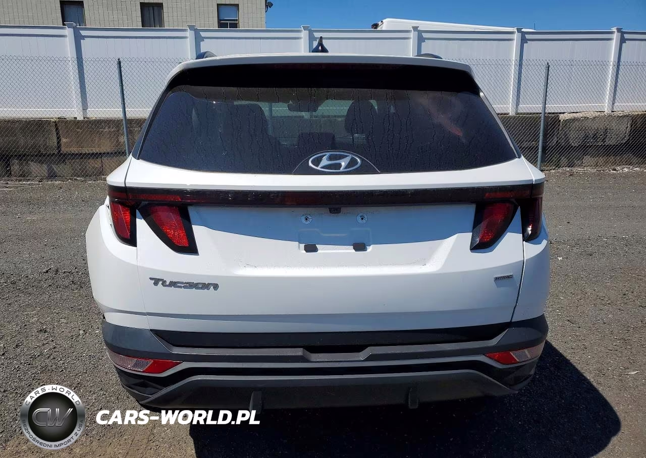 2024 Hyundai Tucson Sel VIN:5NMJBCDE4RH297793 - 6