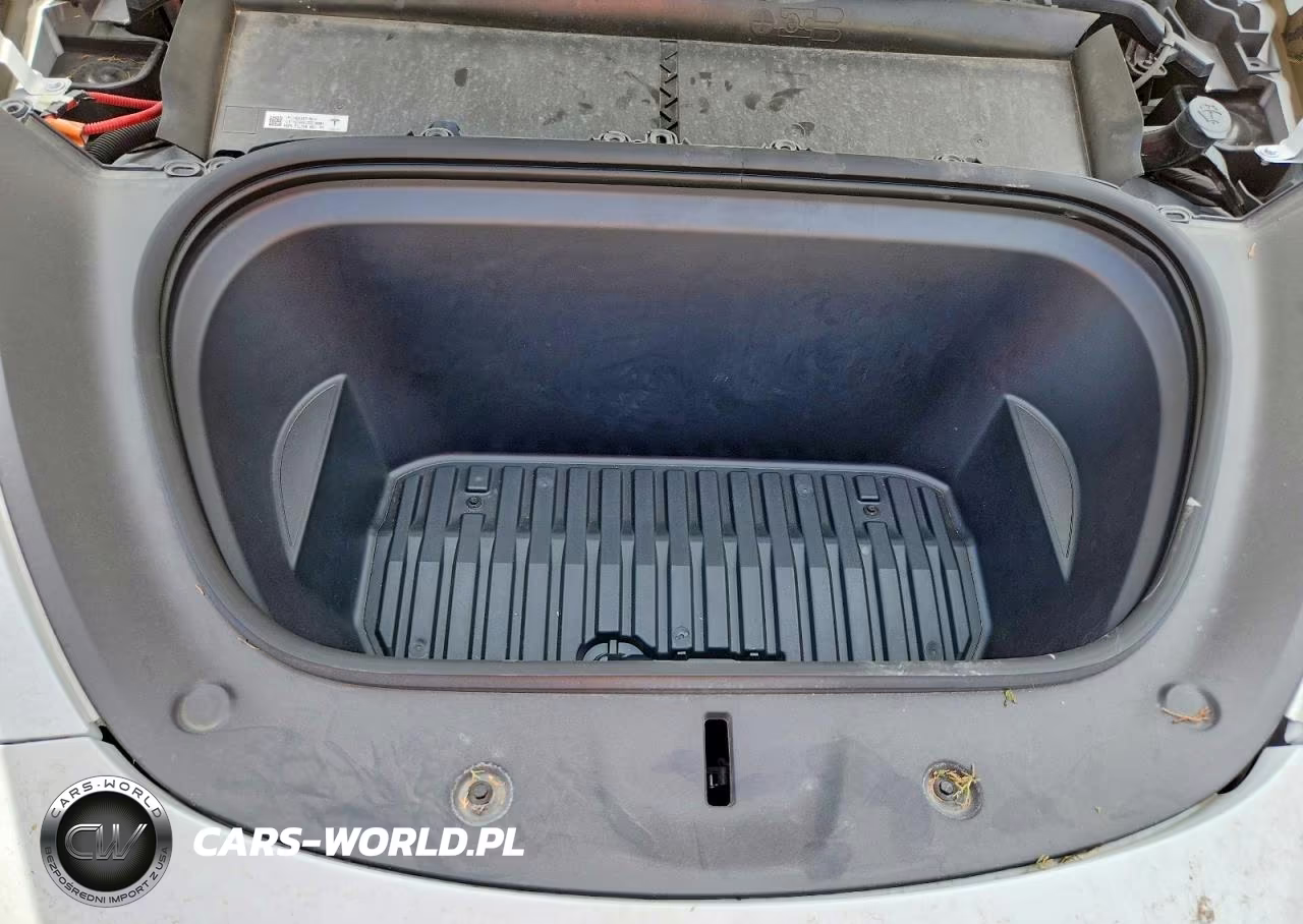 2024 Tesla Model Y VIN:7SAYGDEF7RA320109 - 11