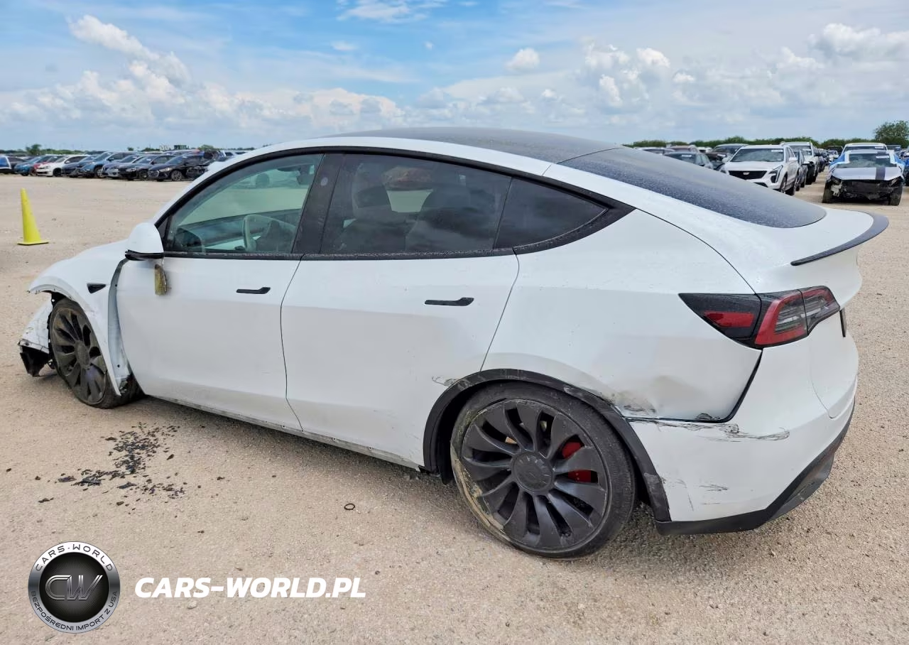 2024 Tesla Model Y VIN:7SAYGDEF7RA320109 - 2