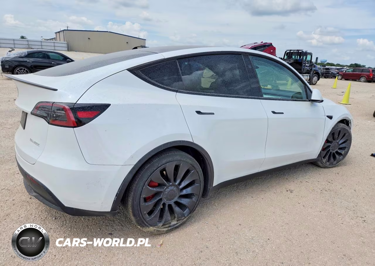 2024 Tesla Model Y VIN:7SAYGDEF7RA320109 - 3