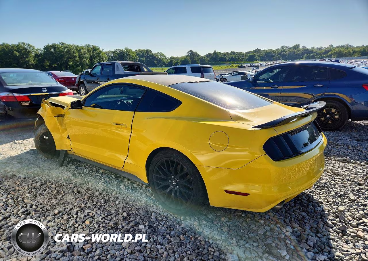2016 Ford Mustang VIN:1FA6P8AM1G5205898 - 2
