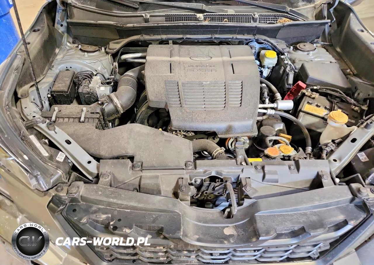 2024 Subaru Forester Wilderness VIN:JF2SKAJC8RH467927 - 12