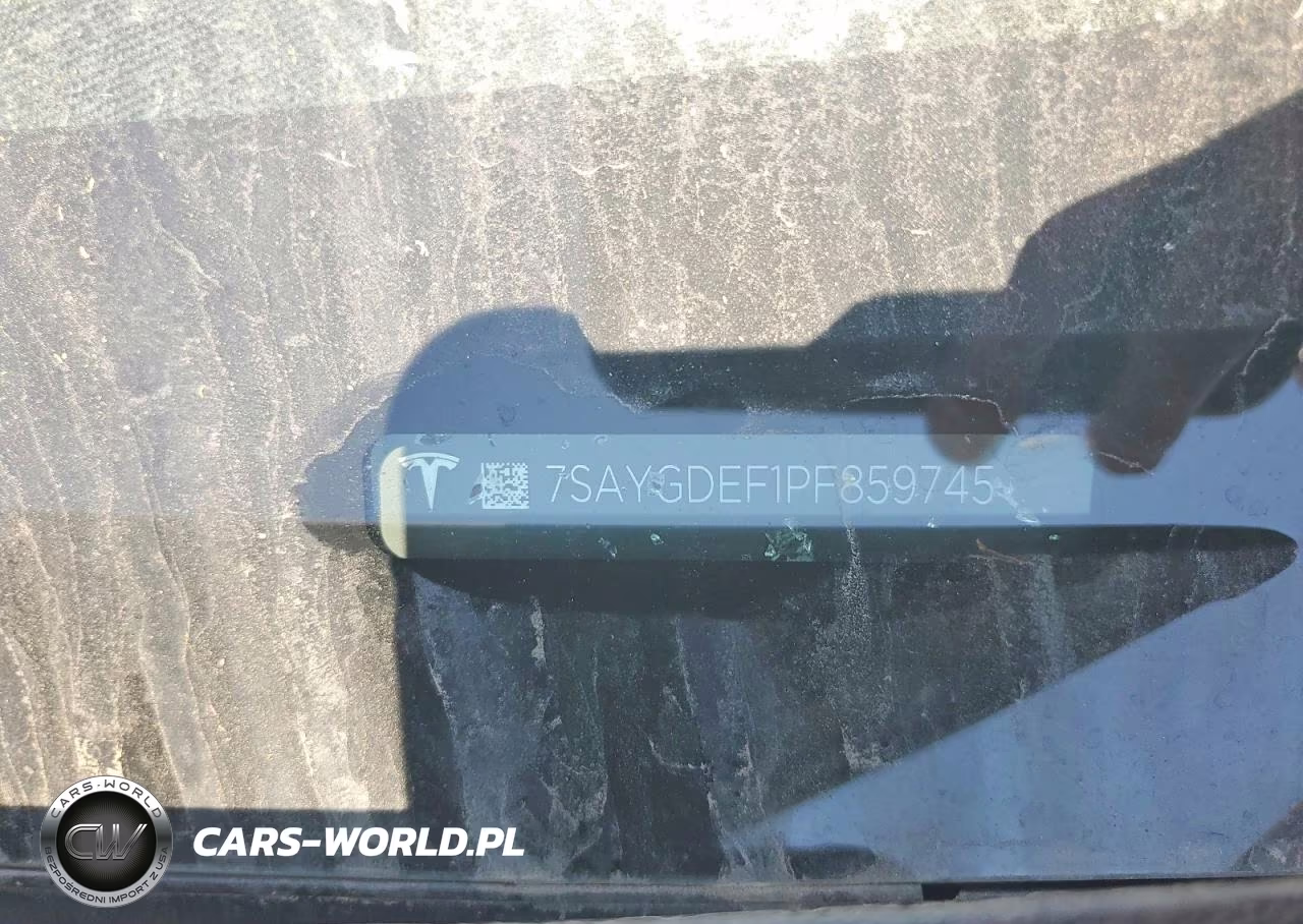 2023 Tesla Model Y VIN:7SAYGDEF1PF859745 - 12