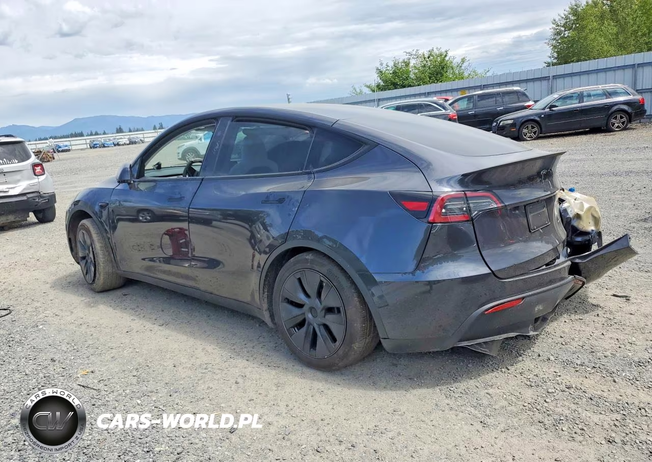 2024 Tesla Model Y VIN:7SAYGAEE6RF102106 - 2